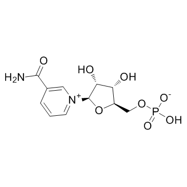 β-烟酰胺单核苷酸图片