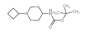 4-(Boc-amino)-1-cyclobutyl-piperidine Structure