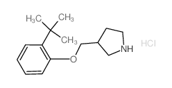 2-(tert-Butyl)phenyl 3-pyrrolidinylmethyl ether hydrochloride Structure