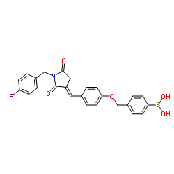 Boronic acid, B-[4-[[4-[(E)-[1-[(4-fluorophenyl)Methyl]-2,5-dioxo-3-pyrrolidinylidene]Methyl]phenoxy]Methyl]phenyl]-结构式