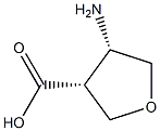(3R,4S)-4-Aminotetrahydro-3-furancarboxylic acid Structure