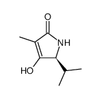 2H-Pyrrol-2-one,1,5-dihydro-4-hydroxy-3-methyl-5-(1-methylethyl)-,(5S)-(9CI)结构式