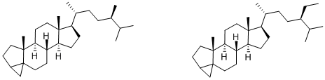 (24R)-24-METHYL-3,5-CYCLOCHOLESTANE AND (24R)-24-ETHYL-3,5-CYCLOCHOLESTANE结构式