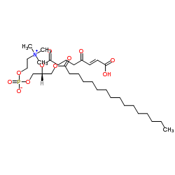 KOdiA-PC Structure