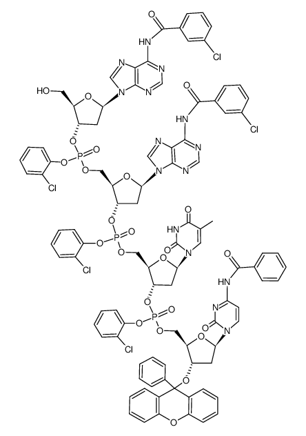 d(HO-ApApTpC-O-Px) Structure