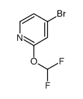 4-Bromo-2-(difluoromethoxy)pyridine picture