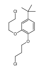 4-tert-butyl-1,2-bis(3-chloropropoxy)benzene结构式