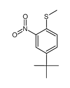 4-tert-butyl-1-methylsulfanyl-2-nitro-benzene Structure