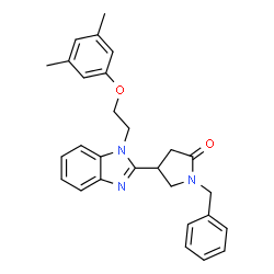 1-benzyl-4-(1-(2-(3,5-dimethylphenoxy)ethyl)-1H-benzo[d]imidazol-2-yl)pyrrolidin-2-one结构式