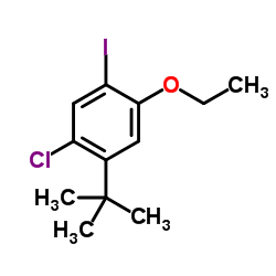 1-Chloro-4-ethoxy-5-iodo-2-(2-methyl-2-propanyl)benzene结构式