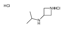 N-异丙基氮杂啶-3-胺双盐酸盐结构式