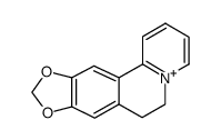 6,7-dihydro-[1,3]dioxolo[4,5-g]pyrido[2,1-a]isoquinolinylium结构式