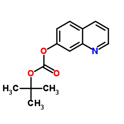 2-Methyl-2-propanyl 7-quinolinyl carbonate Structure