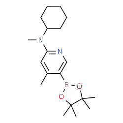 N-cyclohexyl-N,4-dimethyl-5-(4,4,5,5-tetramethyl-1,3,2-dioxaborolan-2-yl)pyridin-2-amine结构式