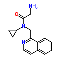 N-Cyclopropyl-N-(1-isoquinolinylmethyl)glycinamide结构式