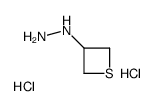 1-(thietan-3-yl)hydrazine dihydrochloride structure