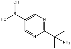 (2-(2-aminopropan-2-yl)pyrimidin-5-yl)boronic acid结构式