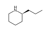 coniine Structure