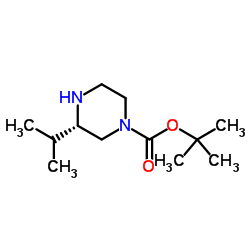 (S)-1-Boc-3-异丙基哌嗪结构式