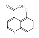 5-chloroquinoline-4-carboxylic acid picture