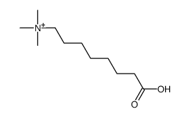 7-carboxyheptyl(trimethyl)azanium结构式