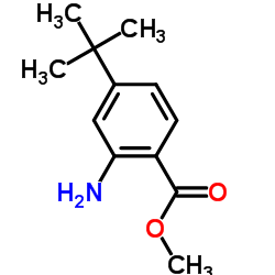 Benzoic acid, 2-amino-4-(1,1-dimethylethyl)-, methyl ester (9CI)结构式
