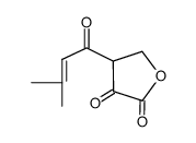 4-(3-methyl-but-2-enoyl)-dihydro-furan-2,3-dione Structure