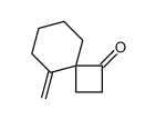 9-methylidenespiro[3.5]nonan-3-one Structure