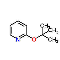 2-[(2-Methyl-2-propanyl)oxy]pyridine picture