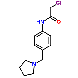 2-CHLORO-N-(4-PYRROLIDIN-1-YLMETHYL-PHENYL)-ACETAMIDE structure