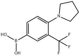 (4-(pyrrolidin-1-yl)-3-(trifluoromethyl)phenyl)boronic acid Structure