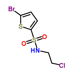 5-Bromo-thiophene-2-sulfonic acid (2-chloro-ethyl)-amide picture