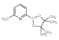 6-Methylpyridine-2-boronic acid pinacol ester picture