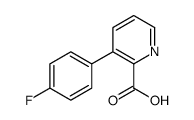 3-(4-FLUOROPHENYL)PICOLINIC ACID picture