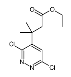 ethyl 3-(3,6-dichloropyridazin-4-yl)-3-methylbutanoate结构式