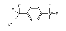 POTASSIUM TRIFLUORO(6-(TRIFLUOROMETHYL)PYRIDIN-3-YL)BORATE Structure