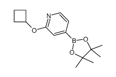 2-(Cyclobutoxy)pyridine-4-boronic acid pinacol ester picture