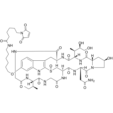 Mal-C6-α-Amanitin picture