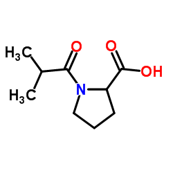 1-Isobutyrylproline structure