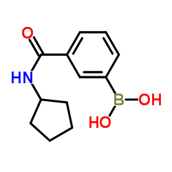 3-(环戊基甲酰氨)苯基硼酸结构式