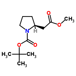 METHYL (2S)-PYRROLIDIN-2-YLACETATE picture