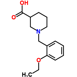 1-(2-ETHOXY-BENZYL)-PIPERIDINE-3-CARBOXYLIC ACID结构式