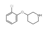 3-(2-氯苯氧基)哌啶结构式