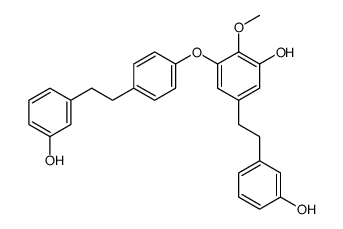 perrottetin G Structure