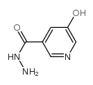 3-Pyridinecarboxylicacid,5-hydroxy-,hydrazide(9CI) structure