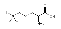 6,6,6-三氟正亮氨酸结构式
