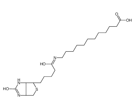 N-生物素十二烷基酸图片