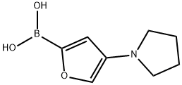 4-(Pyrrolidino)furan-2-boronic acid Structure