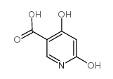 4,6-二羟基烟酸结构式
