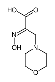 2-hydroxyimino-3-morpholin-4-yl-propionic acid结构式